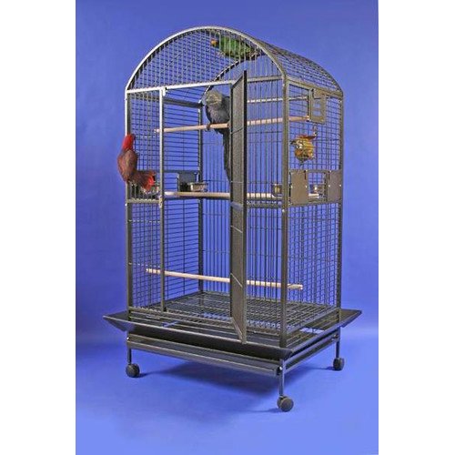 Bird Cage & Accessory Kits Complete Set Up For your New Pet Bird
