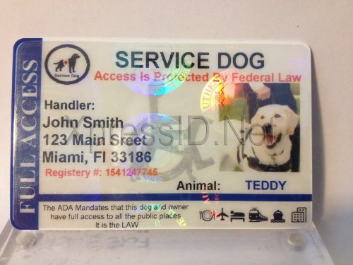 Holographic Service Dog ID Card Horizontal - Image 3
