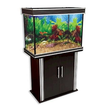 Penn Plax 58-Gallon Silver Trimmed Aquarium Tank with Stand, Black