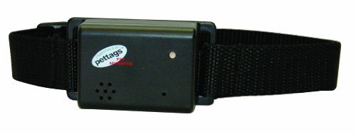 Pet Tag Pro Remote Control Dog Trainer, Black - Image 3