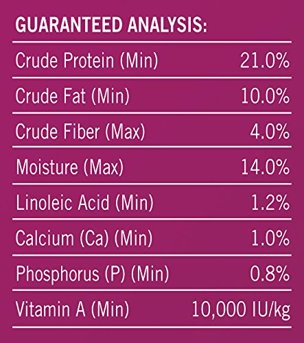 Purina Dog Chow Dry Dog Food, Healthy Morsels, 16.5-Pound Bag - Image 5