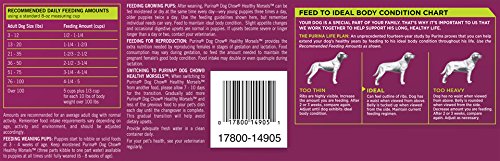 Purina Dog Chow Dry Dog Food, Healthy Morsels, 16.5-Pound Bag - Image 6