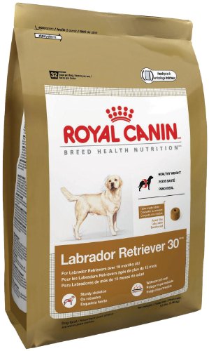 Royal Canin Labrador Retriever Dry Dog Food, 30-Pound Bag - Image 3