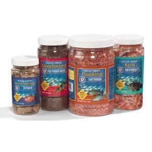 San Francisco Bay Brand Freeze Dried Bloodworms 1 oz.