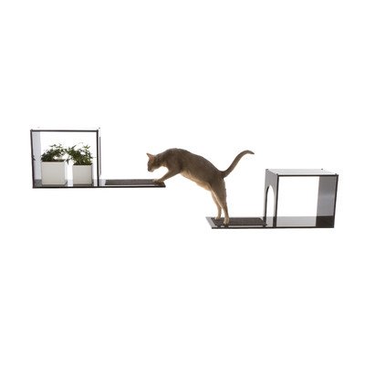 The Sophia Wall Mounted Cat Tree in Black