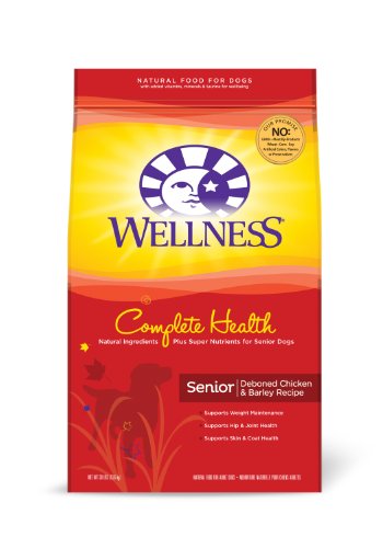 Wellness Complete Health Senior Recipe, 30-Pound