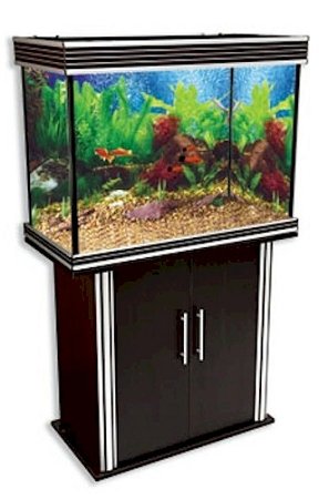 Fish & Aquatic Supplies Nautilis I 49 Gallon Rectangular Aquarium - With Aquarium Kit