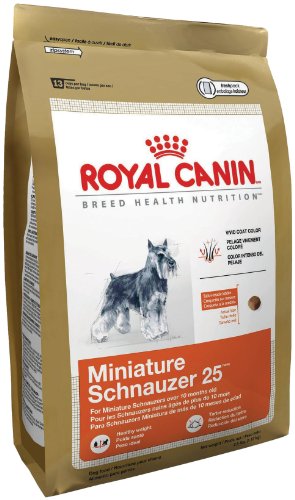 Royal Canin Miniature Schnauzer Dry Dog Food, 10-Pound Bag - Image 3
