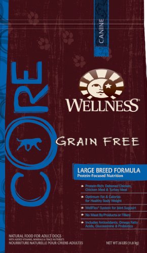 wellness core large breed