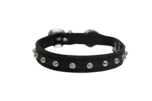 Angel Pet Supplies Leather Studded Cat / Kitten Collar with Safety Elastic Stretch, 10 by 1/2-Inch, Black