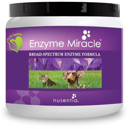 Enzyme Miracle | Canine Enzymes (Advanced Plant-Based Powder) - 100 Servings