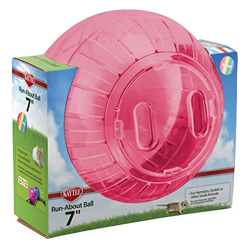 Kaytee Run-About 7-Inch Exercise Ball, Rainbow, Colors Vary