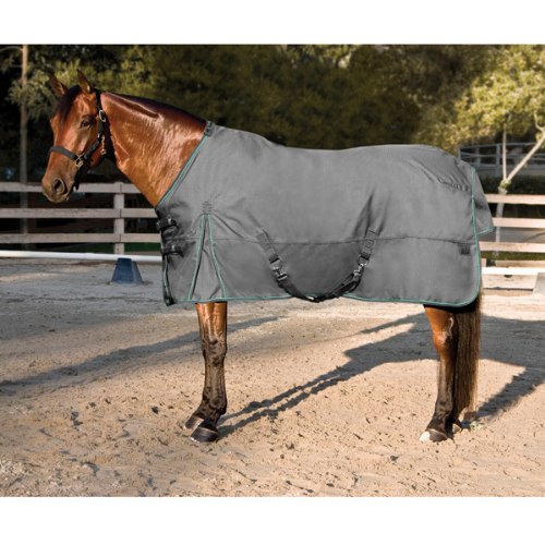 Kensington All Around HD 1200D Euro Cut 300gm Heavy Weight Turnout Blanket, 84, Charcoal