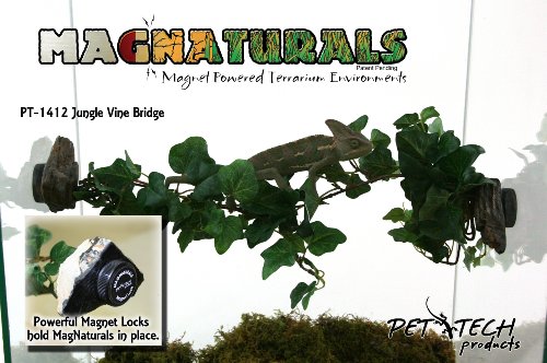 Magnaturals Jungle Vine Bridge - Magnetic Decor