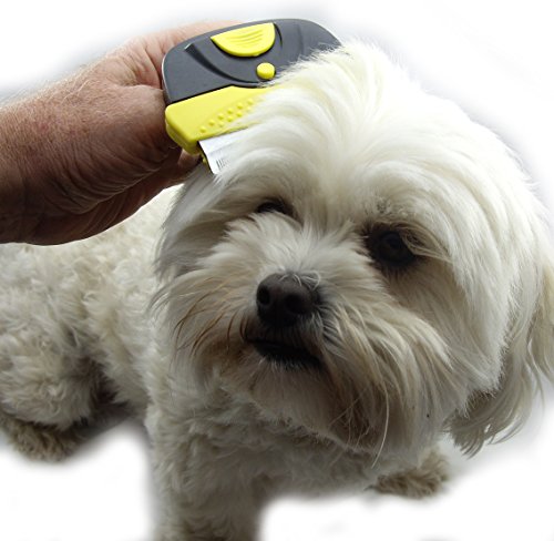 Shedding Brush Tool for Cat or Dog, Long Hair or Short - Quirk and Ferg Tools for Deshedding and Grooming Are Pet Approved and Guaranteed to Reduce Hair in Minutes - Black and Yellow with Stainless Steel Blade (Large) - Image 7