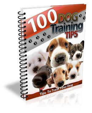 #1 Dog Training Device on the Market! A Dog Whistle to Train your Dog - Dog Training Tip eBook include with Purchase - Silence Your Dog! Get them before they're sold out! - Image 3