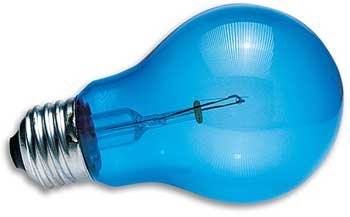 40 Watt Daylight Blue Inc Reptile Bulb