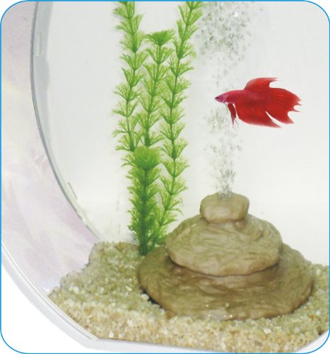 AA Deco O Aquarium, Black - Image 5