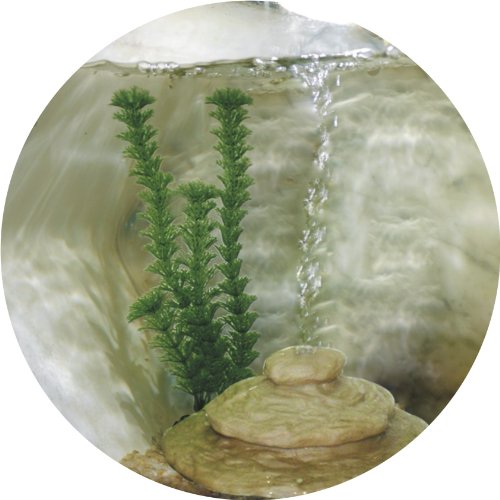 AA Deco O Aquarium, Black - Image 9