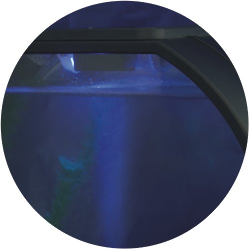 AA Deco O Aquarium, Black - Image 10