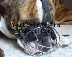 Anti Bark Collar - Barking Control Collar - Image 10