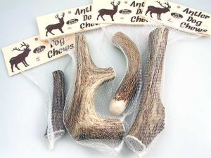 Antler Dog Chews - A Long Lasting, Safe and Healthy Favorite of Dogs