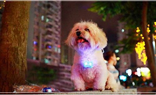 Aokdis (TM) Hot Selling Pet Safety LED Flashing Dog Collar Light Tag Keychain Pendant (pink) - Image 5