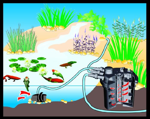 AquaTop Pond UV Sterilizer Bio Pressurized Filter w/Pump PFS300UV - Image 5