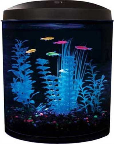 Aquarius Aq35000gpc Glofish 180 3-1/2-Gallon Aquarium Kit