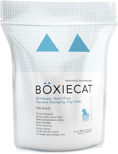 Boxiecat Premium Clumping Clay Cat Litter