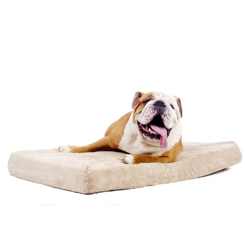 Brindle 4 Inch Solid Memory Foam Orthopedic Dog Bed with Removable Waterproof Velour Cover, Large 46 Inch x 28 Inch - Image 6