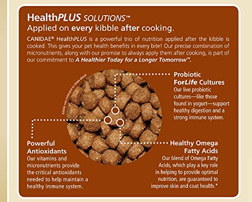 CANIDAE All Life Stages Formula For Dogs - Image 6