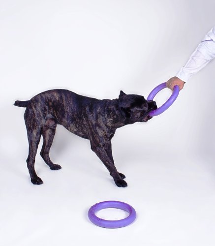 COLLAR Puller Training Ring for Dogs, Standard, Set of 2 - Image 4