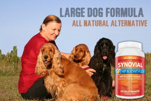 Chewable Glucosamine for Dogs with Chondroitin + MSM ✚ Maximum Joint Relief for Large Dogs Over 40lbs ✚ You Won't Find a Higher Quality & More Effective Joint Supplement For Arthritis Pain Relief, Joint Pain, Inflammation & Hip Dysplasia ✚ Made in USA & Trusted by Veterinarians for 40 Years ✚ Safe & Natural Anti Inflammatory Comes With a 100% SATISFACTION GUARANTEE - Image 7
