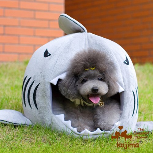 Colorfulhouse Shark Round House Puppy Bed with Pet Bed Mat, Small to Medium (Small) - Image 4