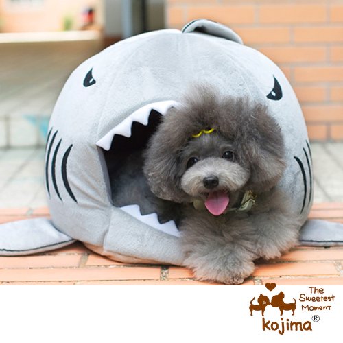 Colorfulhouse Shark Round House Puppy Bed with Pet Bed Mat, Small to Medium (Small)