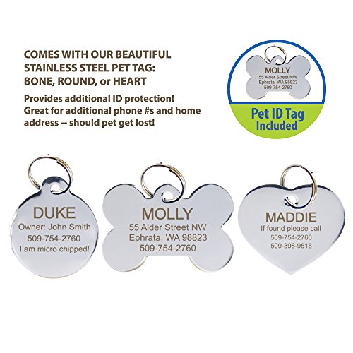 Custom Embroidered Dog Collar - Includes Personalized Pet Tag for Added Safety and Pet ID - Image 5