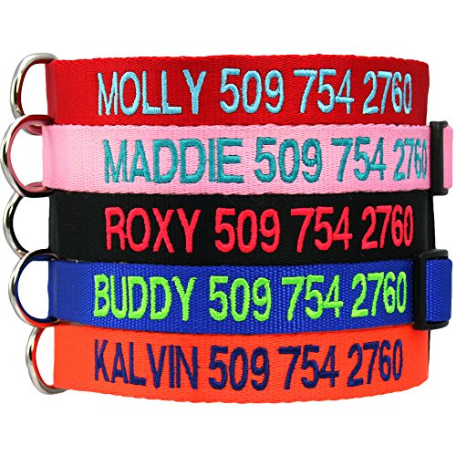 Custom Embroidered Dog Collar - Includes Personalized Pet Tag for Added Safety and Pet ID