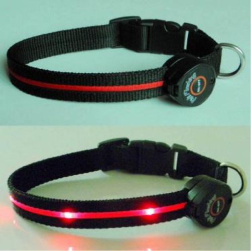 Dog Collar with Red LED Lights, Multi-Function, Large