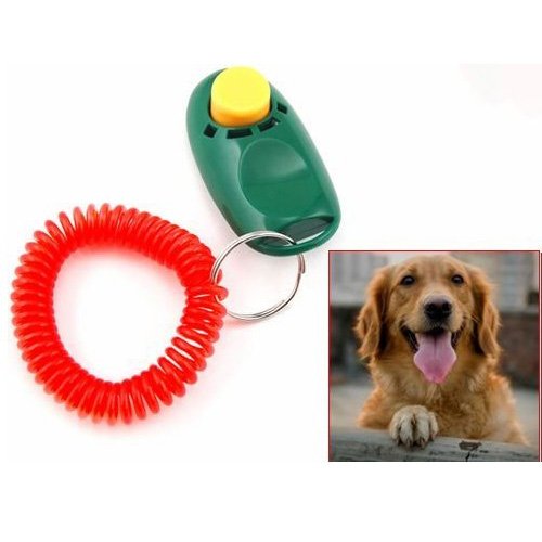 Dog Training Clicker Obedience Trainer Cat Pet Click Agility 4 Colors Option Free Shipping (Random Color)