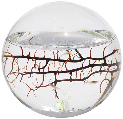 EcoSphere Closed Aquatic Ecosystem, Small Sphere