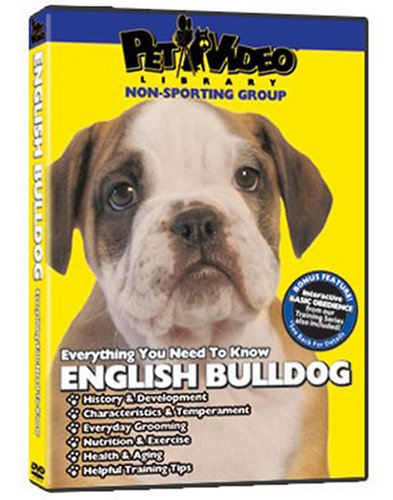 English Bulldog DVD: Everything You Should Know + Dog & Puppy Training Bonus