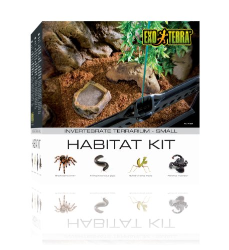 Exo Terra Invertebrate Terrarium Habitat Kit - Image 3