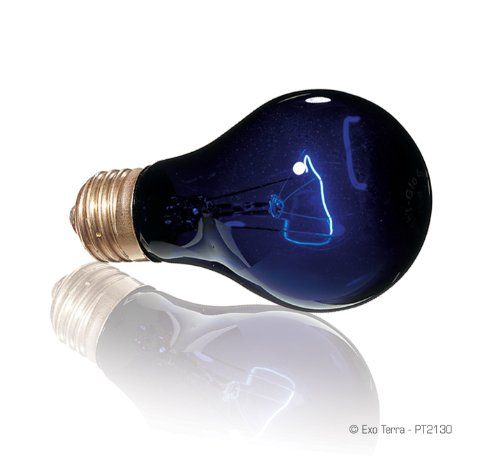 Exo Terra Night-Glo Moonlight A19 Lamp, 75-Watt - Image 3