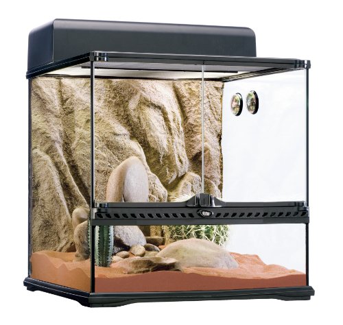 Exo Terra PT2605 Desert Habitat Kit, Medium