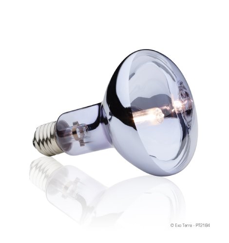 Exo Terra Sun-Glo Daylight Halogen Lamp, 150-Watt - Image 3