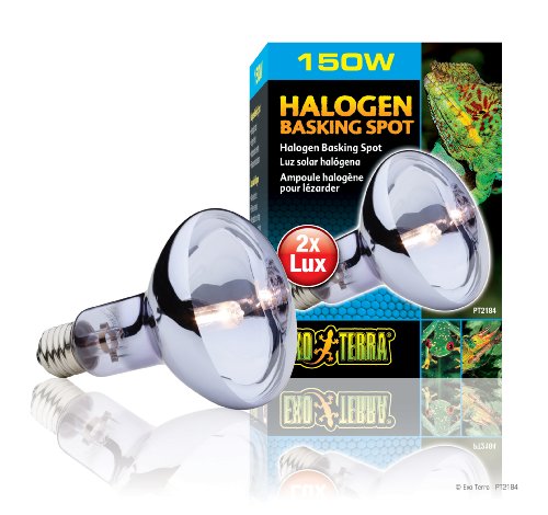 Exo Terra Sun-Glo Daylight Halogen Lamp, 150-Watt - Image 4