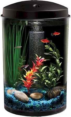 Fish & Aquatic Supplies Aquaview 3 Gallon 360 Aquarium