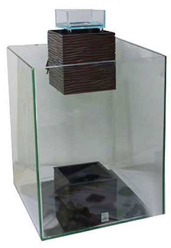 Fluval Glass Tank Replacement for Fluval Chi 19L Aquarium Kit