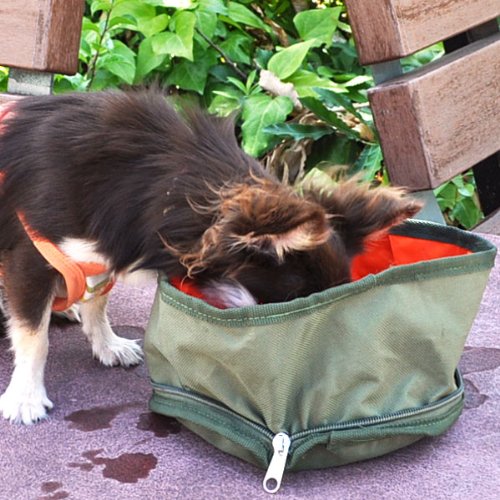 Folding Collapsible Travel Food & Water Bowl for Pets Dogs Cats (Army-Green) - Image 8
